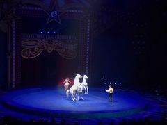 -珠海横琴长隆《卡卡虎奇遇记》