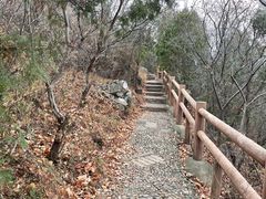 -府君山公园
