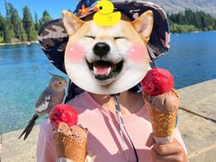 -Patagonia Chocolates(皇后镇店)