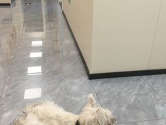 -美联众合爱康动物医院•复杂内科•肿瘤科•牙科•腔镜诊疗中心