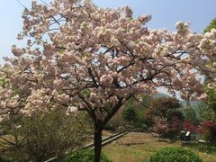 -白马涧龙池景区