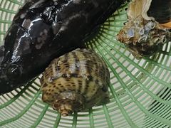 -鑫鸿达·海鲜闽菜热炒小馆(中山路店)