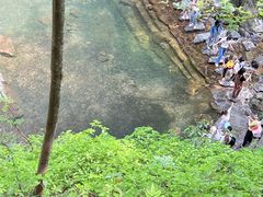-石台牯牛降景区