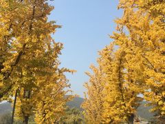 -晋祠公园