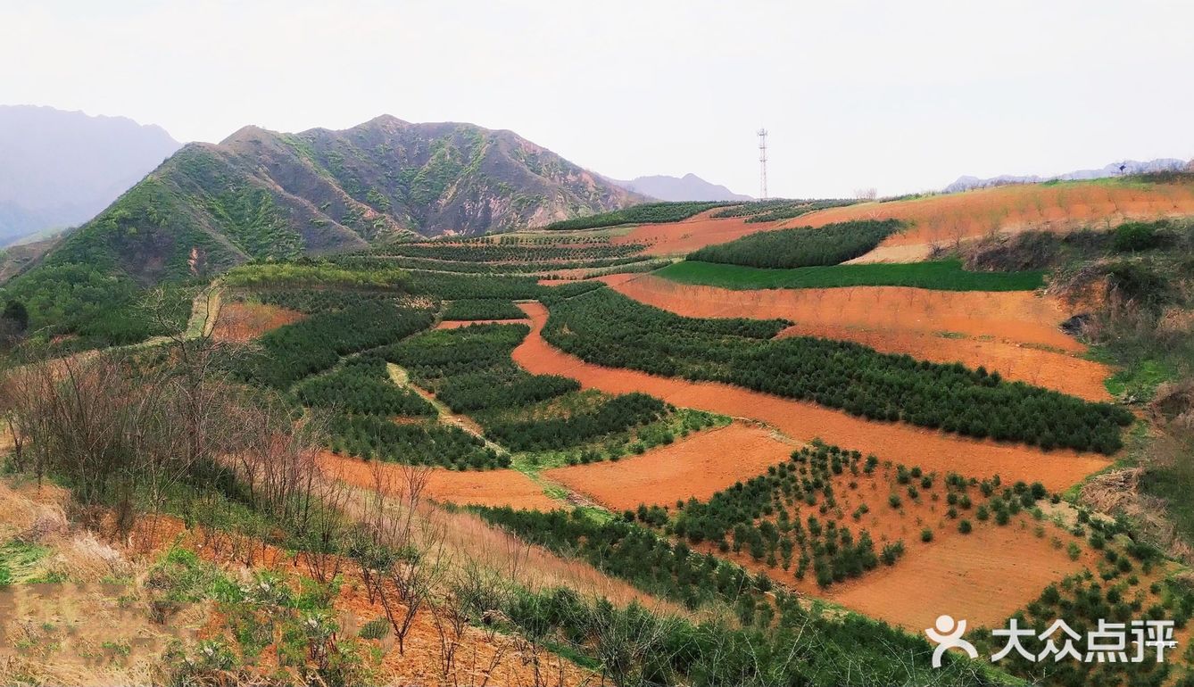 红土地vs油菜花｜秦岭普罗旺斯｜鲍旗寨
