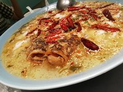 -姚姚酸菜鱼·金戈戈香港豉油鸡(喜荟城联名店)