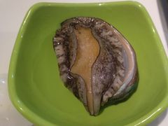 新鲜活鲍鱼-海玥荟海鲜姿造自助餐厅(欧罗巴广场店)