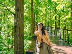 -黄海国家森林公园