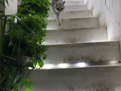 -小时光咖啡馆(北锣鼓巷店)