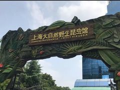-上海大自然野生昆虫馆(东方明珠·爬宠昆虫探索中心)