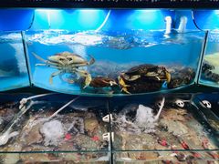 -望海潮海鲜店 特色家常菜(在海一方店)