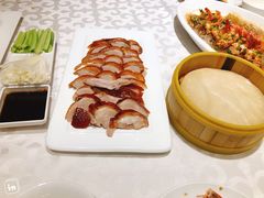 -金蝉食府(维吉奥广场店)