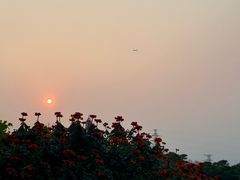-仙岳公园