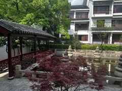 -苏州吴宫泛太平洋酒店