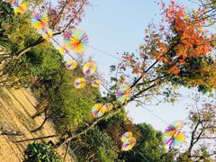 -呼吸森林·生态农庄农家乐私房菜