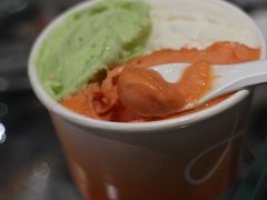 -DIP in GELATO(富民路店)