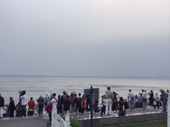 -观潮胜地公园