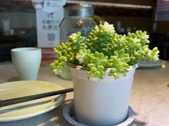 -船歌·鱼水饺青岛菜(石老人店)