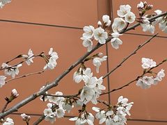 -山东省千佛山医院
