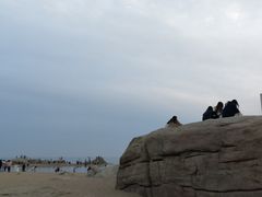 -老虎石海上公园