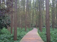 iphone_upload_pic-上海怡沁园度假酒店