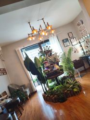 -杨益美学·野生眉半永久纹眉发际线