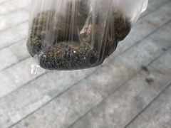 -叶氏麻糍(鼓浪屿店)