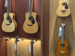 -知音艺术教育培训·钢琴培训·音乐培训(河西金鹰世界校区)