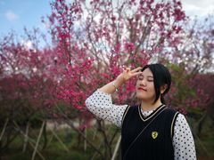 -天适樱花悠乐园
