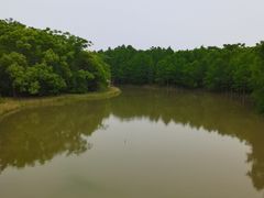 -上海海湾国家森林公园