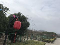 -呼吸森林·生态农庄农家乐私房菜