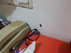 -布丁酒店(杭州滨江高教园店)