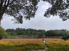 -南北湖风景区