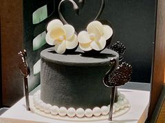 -BLACKSWAN黑天鹅(新希望店)