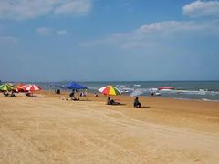 -日照海滨国家森林公园