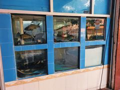水产区-红星光发煲仔饭(大石街店)