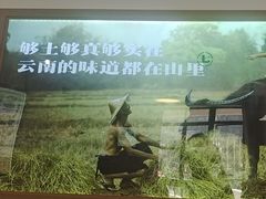 -七步香云南山里菜(昆明老街店)