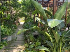 -谷咖啡·鲜花绿植花园餐厅