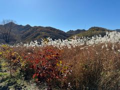 -玉渡山自然风景区