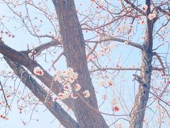 -康陵正德春饼宴26号