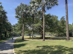 -深圳仙湖植物园