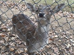 -西安秦岭野生动物园