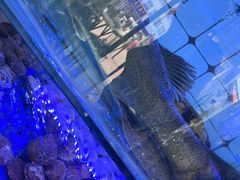 -日照大牌檔•小船海鲜(万平口店)