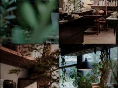 -自由生长植物工作室(深港花卉中心店)