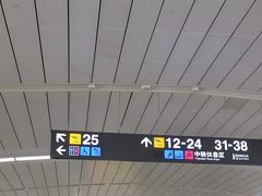 -石家庄正定国际机场-T2航站楼