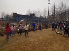 -北戴河集发农业梦想王国