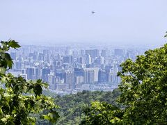 -灵顺寺