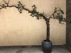-杭州平安悦坊 PAFC LIVING