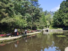 -庐山风景区花径公园