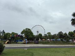 -漩门湾国家湿地公园